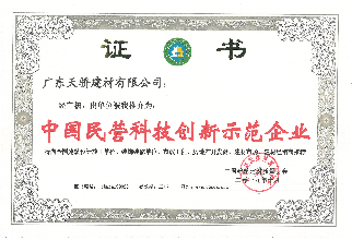 中國民營科技創新示范企業