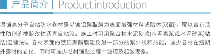 濕鋪高分子自粘防水卷材折頁1