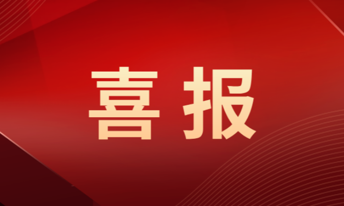 喜報！中共廣東筑龍新材料技術有限公司支部委員會獲評“先進基層黨組織”